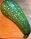 What Are The Health Benefits Of Zucchini 